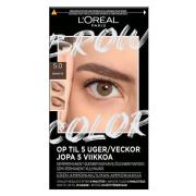L'Oréal Paris Brow Color Kit Semi-Permanent Eyebrow Color 5.0 Bru