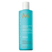 Moroccanoil Moisture Repair Shampoo 250 ml