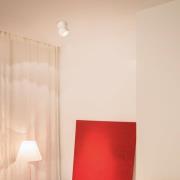 Egger Licht EGG DLS LED-takspotlight Clippo, dimbar till varm, vit/gul...