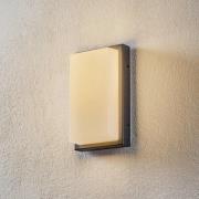 LCD LED-utomhusvägglampa Babett, stål, glas, sensor
