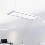 Regent Lighting Regent Dime LED-kontorshänglampa 51W 3,000K
