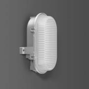 BEGA RZB Alu-Standard LED-vägglampa, oval, IP66