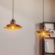 Eko-Light Hänglampa Felix, svart/antik guld, 2 lampor