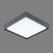 EVN LED-utomhustaklampa Tectum, 24x24 cm, antracit, 110°, 110