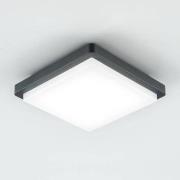 EVN LED-utomhustaklampa Tectum, 23x23 cm, antracit, 150°, för utomhusb...