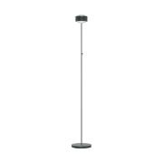 Top Light Puk Maxx Eye Floor LED-lins matt, antracit/krom