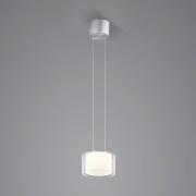 BANKAMP Grand Clear LED-pendellampa, 1 fl, Ø 20 cm
