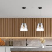 FISCHER & HONSEL Hänglampa Miro 1 lampa Glas rökgrå/klar Ø20cm