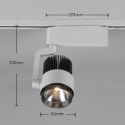 Trio Lighting LED-spotlight Radiator DUOline, CCT, titanfärgad