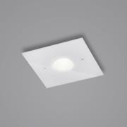 Helestra Nomi LED-taklampa 23x23cm dim vit