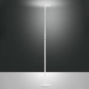 Fabas Luce Regina LED-golvlampa, vit, CCT, dimbar, höjd 180 cm