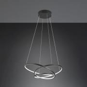 Trio Lighting Hänglampa Darvin längd 64 cm svart matt metall CCT