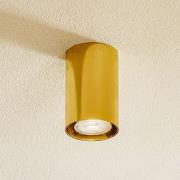 Argon Takspotlight Tesa, mässing, höjd 11 cm