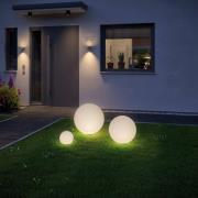 Paulmann Plug & Shine LED dekorationsbelysning Globe Ø 20cm