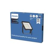 Philips ProjectLine LED-spot utomhus 3 000K 50W