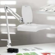 LED-lupplampa MAULvitrum, vit, klämma, metall