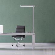 LED-bordslampa MAULjaval, vit, 120 cm, dimbar, klämfot