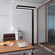 LED-golvlampa MAULjuvis, svart, 196 cm bas dimbar