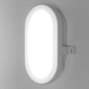 LEDVANCE Bulkhead LED-utomhusvägglampa 5,5W i vitt