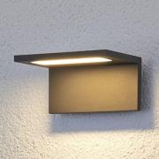 Lucande Platt LED-utomhusvägglampa Caner