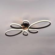 Trio Lighting Fly LED-taklampa, matt svart, 3.000 K, 83 cm x 45 cm