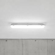 Arcchio LED-våtrumslampa Mareen, 8,5 W 61 cm