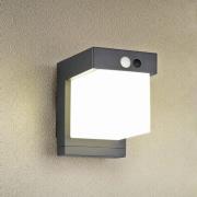 Reality Leuchten Solcellsvägglampa Colombo, matt svart, höjd 14 cm, se...