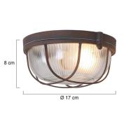 Steinhauer Taklampa Lisanne, brun, Ø 17 cm, metall, glas, E27