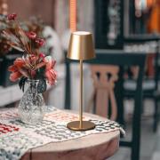 FH Lighting LED-bordslampa med batteri Viletto, kaffebrun, IP54