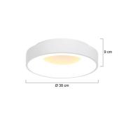 Steinhauer Ringlede LED-taklampa, 2.700 K, Ø 38 cm, vit, metall