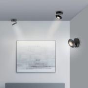 PURE LED-taklampa Oculis, svart, Ø 15 cm, järn/glas