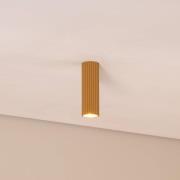 SOLLUX LIGHTING Carbon taklampa, guldfärgad, höjd 20 cm, aluminium