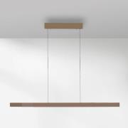 Paul Neuhaus LED-hänglampa Adriana Square, brons, upp/ner