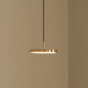 UMAGE LED-hänglampa Asteria Micro, polerad mässing, Ø 15 cm