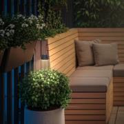 Briloner LED-batteridriven LED-markspettslampa RIFFLE NANO, antracit Ø...