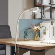 Lindby skruvklämlampa Jyla, matt vit, GX53, flexibel arm