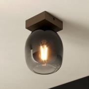 EGLO Filago taklampa 1 lampa av rökt glas
