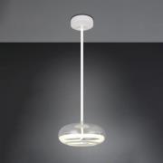 Trio Lighting LED-hänglampa Tarsia, matt vit, Ø 40 cm, glas