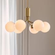 Nuura Aps Nuura pendellampa Apiales 6, Ø 50 cm, mässingsfärgad/opal