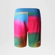 The North Face Casual Shorts Multicolor, Herr