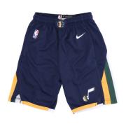 Nike NBA Icon Swingman Shorts Blue, Dam