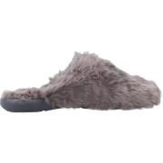 Victoria Slippers Gray, Dam