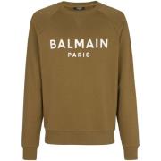 Balmain Hoodies Green, Herr