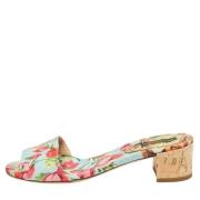 Dolce & Gabbana Pre-owned Pre-owned Canvas sandaler Multicolor, Dam