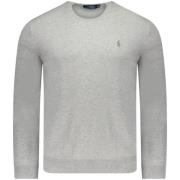 Polo Ralph Lauren Grå Polo Tröja från Fw23 Kollektionen Gray, Herr