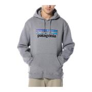 Patagonia Hoodies Gray, Herr