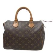 Louis Vuitton Vintage Pre-owned Canvas handvskor Brown, Dam