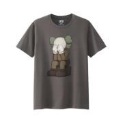 Kaws Begränsad upplaga Passing Through Tee Brun Brown, Herr