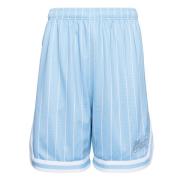 Karl Kani Varsity Pinstripe Mesh Shorts Blue, Herr