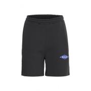 Ball Rimini Game Shorts Knickers Svart Black, Dam